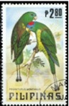Prioniturus montanus (listkogonka niebieskolica), 1984