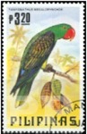 Tanygnathus megalorynchos (papuga wielkodzioba), 1984