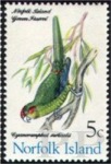 Cyanoramphus novaezelandiae (modrolotka czerwonoczelna), 1971