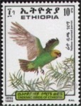 Poicephalus flavifrons (afrykanka tofowa), 1989