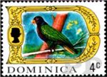 Amazona imperialis (amazonka cesarska), 1969
