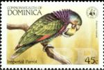 Amazona imperialis (amazonka cesarska), 1984