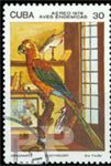 Ara tricolor (ara trjbarwna), 1978