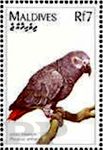 Malediwy, 1997