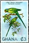 Psittacula krameri (aleksandretta obrona), 1981