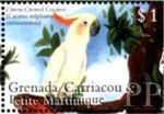 Cacatua sulphurea (kakadu tolica), 2000