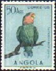 Angola, 1951