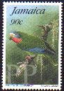 Amazona collaria (amazonka jamajska), 1995