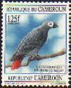 Kamerun, 1995