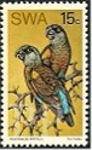 Poicephalus rueppellii (afrykanka niebieskorzytna), 1974