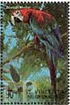 Ara chloropterus (ara zielonoskrzyda), 1998